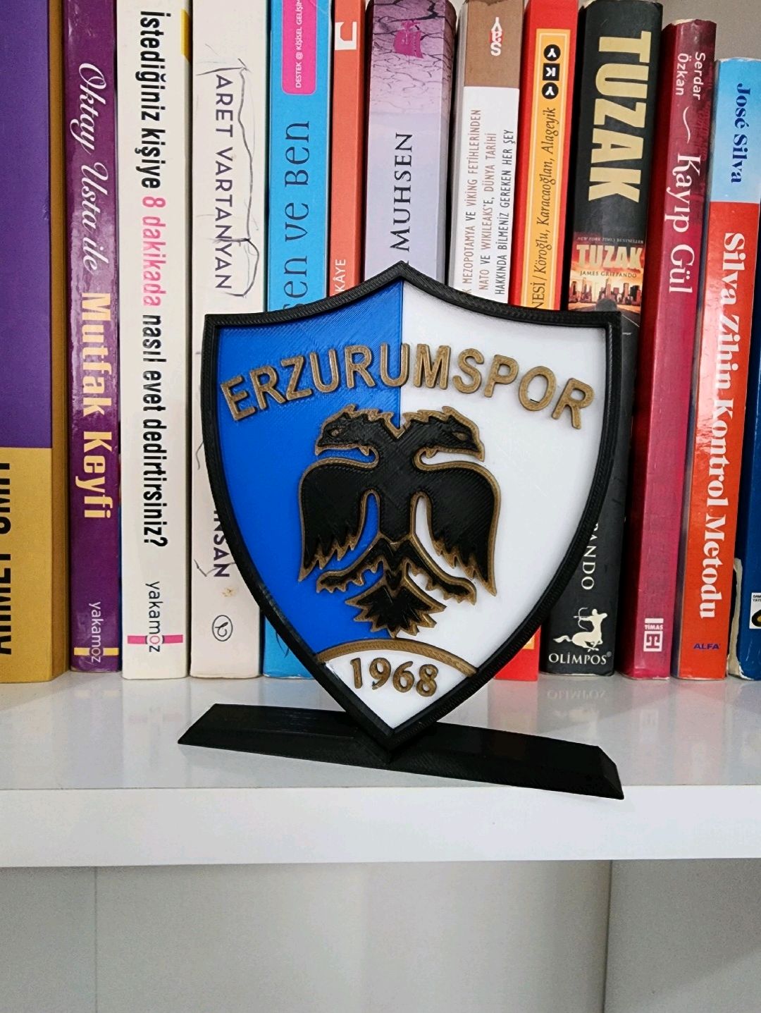 erzurumspor-logo-cok-renkli