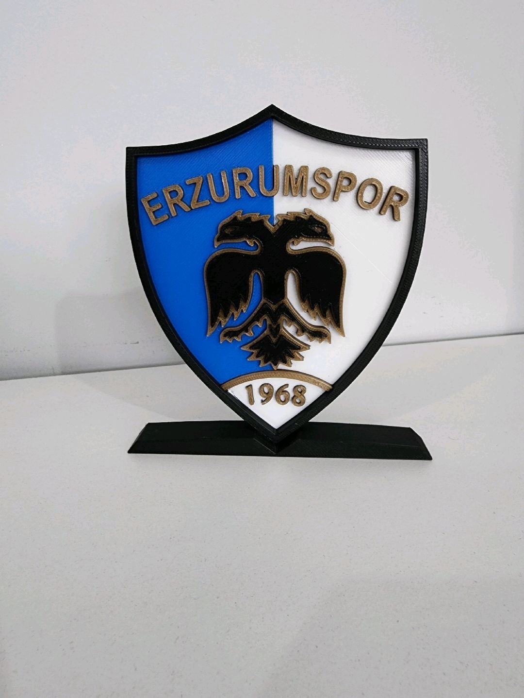 erzurumspor-logo-cok-renkli