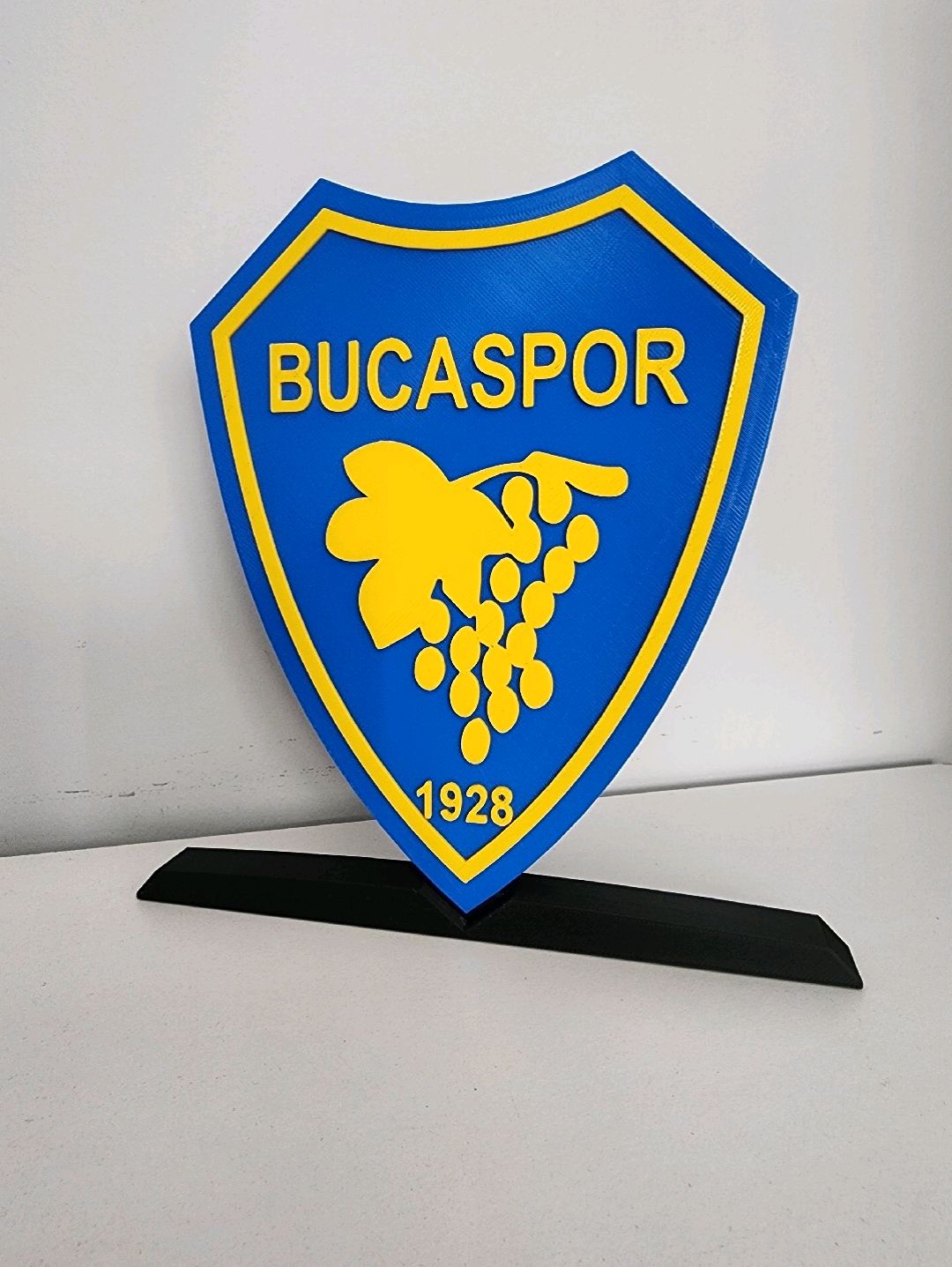 bucaspor-buyuk-tip-logo-cok-renkli