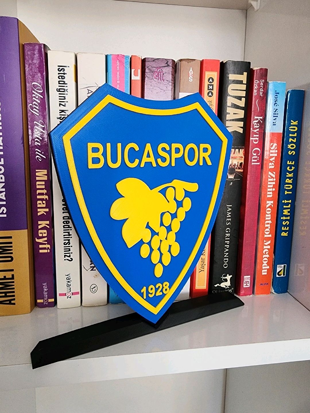 bucaspor-buyuk-tip-logo-cok-renkli