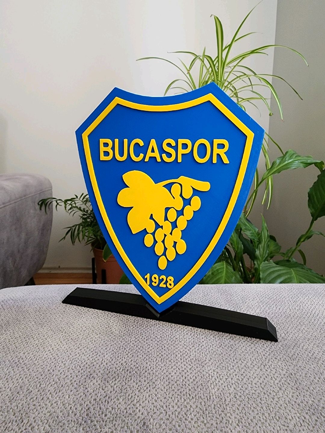 bucaspor-buyuk-tip-logo-cok-renkli