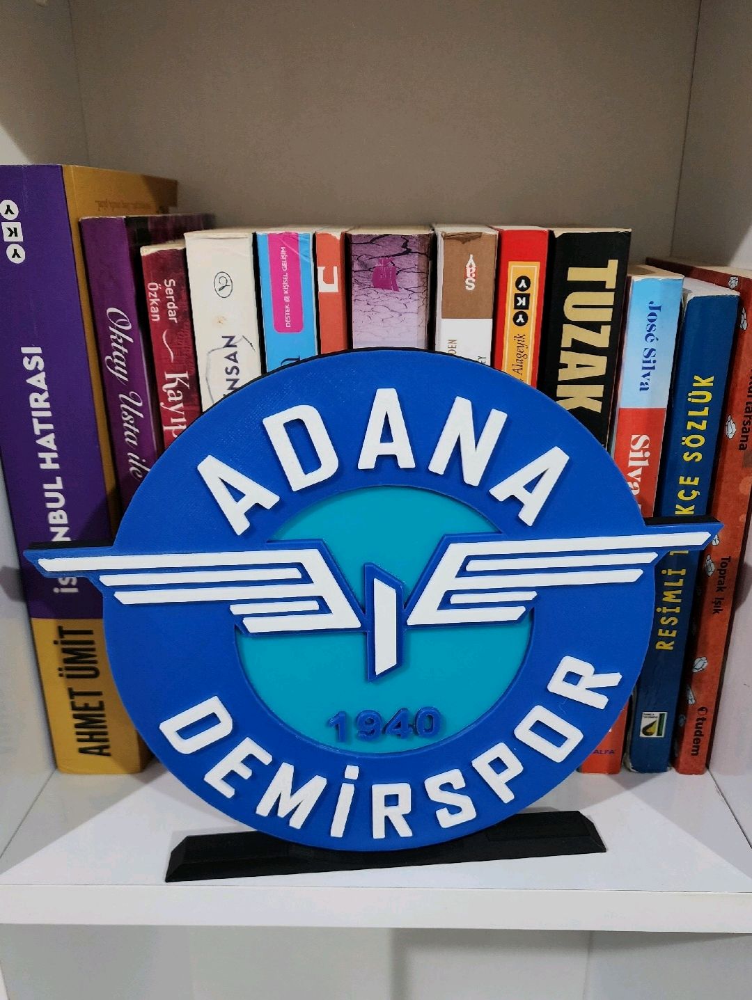 adanademirspor-buyuk-tip-logo-cok-renkli