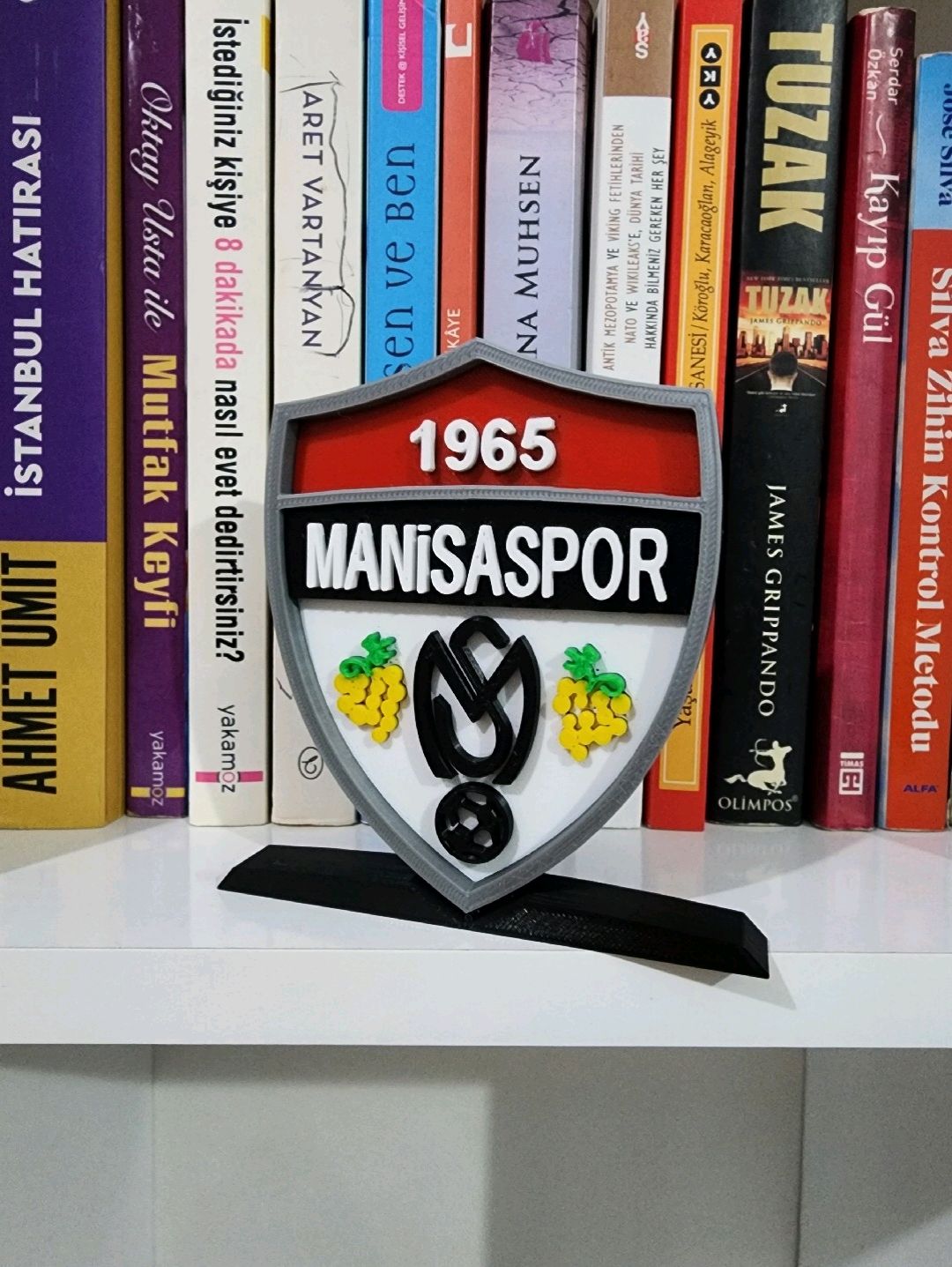 manisaspor-buyuk-tip-logo-cok-renkli