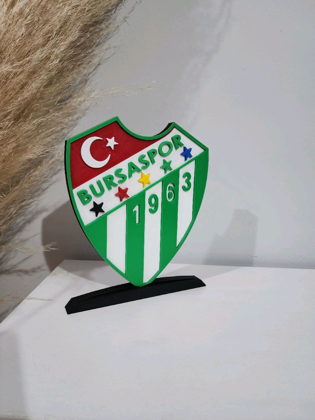 bursaspor-buyuk-tip-logo-cok-renkli