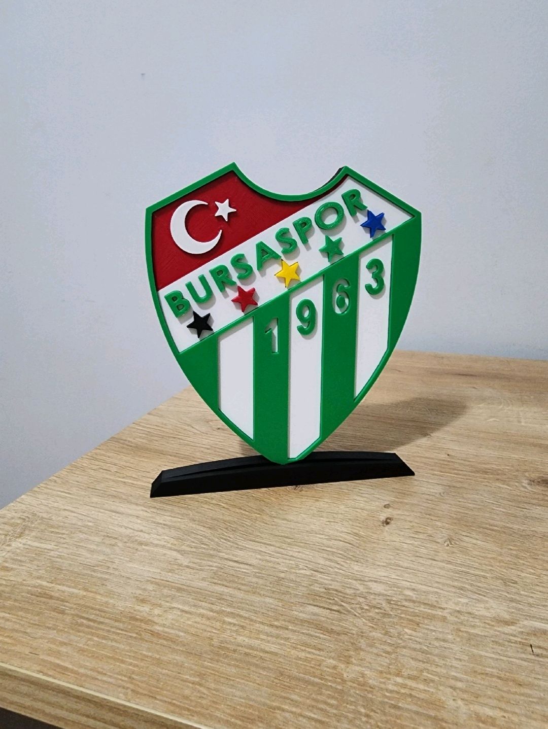 bursaspor-buyuk-tip-logo-cok-renkli