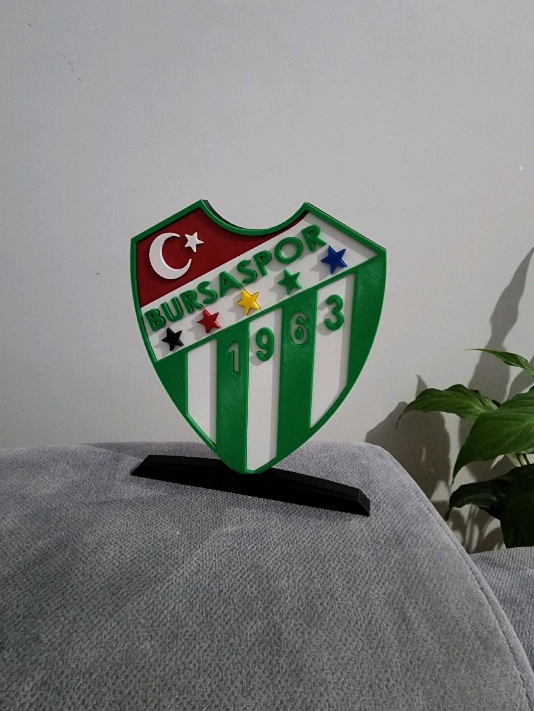 bursaspor-buyuk-tip-logo-cok-renkli
