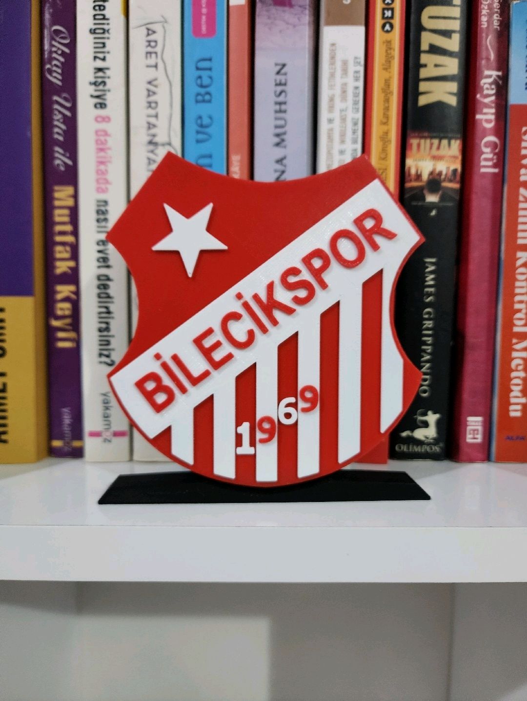 bilecikspor-buyuk-tip-logo-cok-renkli