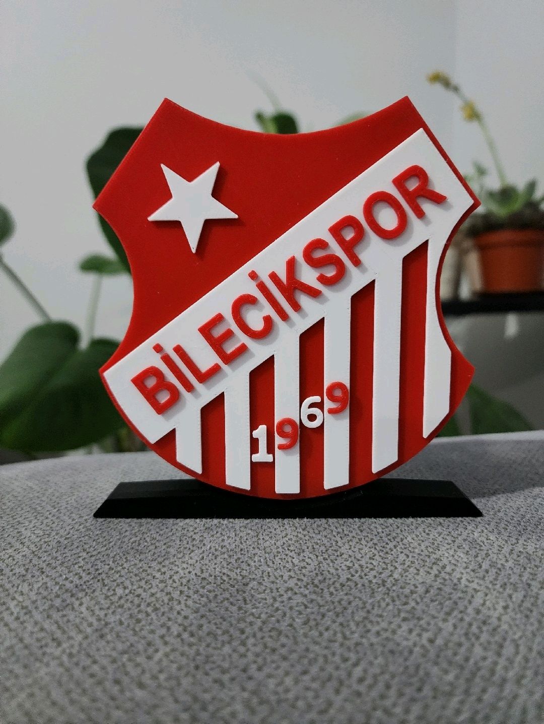 bilecikspor-buyuk-tip-logo-cok-renkli