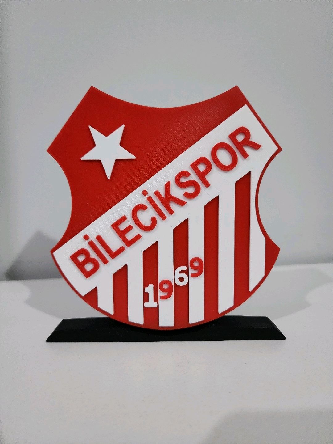 bilecikspor-buyuk-tip-logo-cok-renkli
