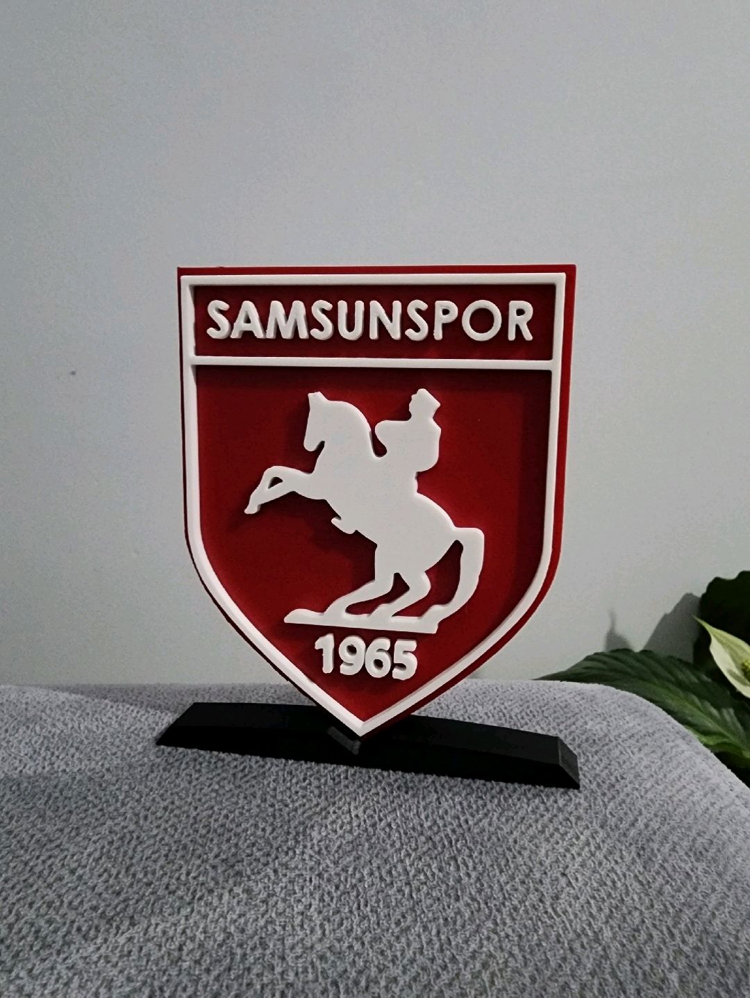 samsunspor-masaustu-logo-cok-renkli