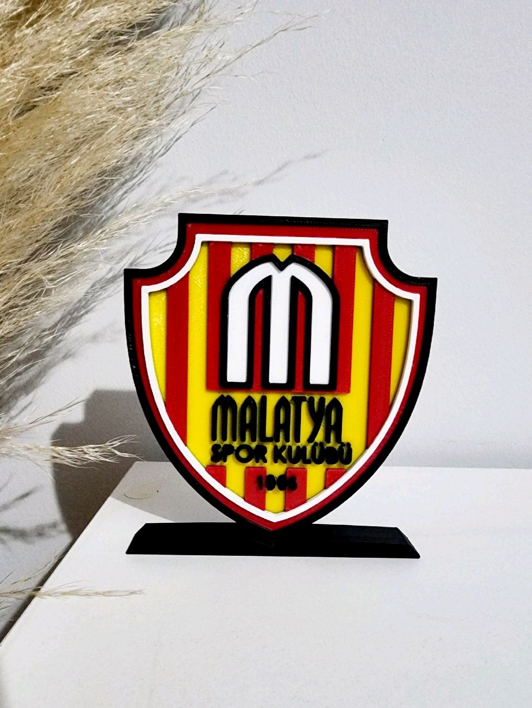 malatyaspor-buyuk-tip-logo-cok-renkli