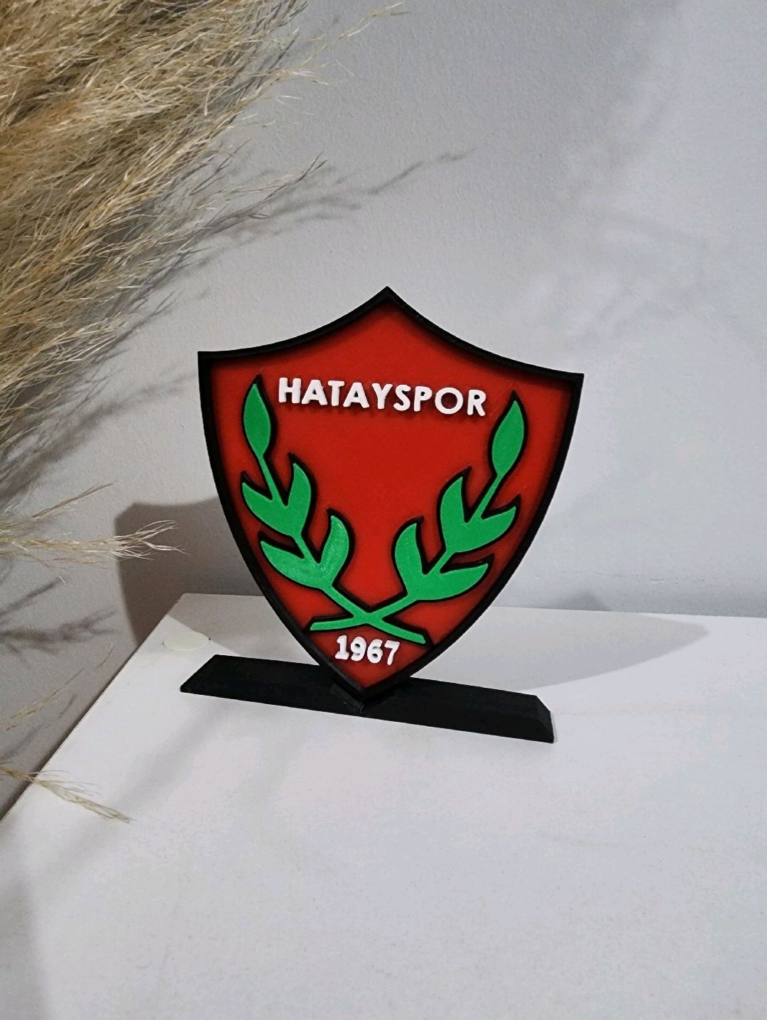 hatayspor-buyuk-tip-logo-cok-renkli