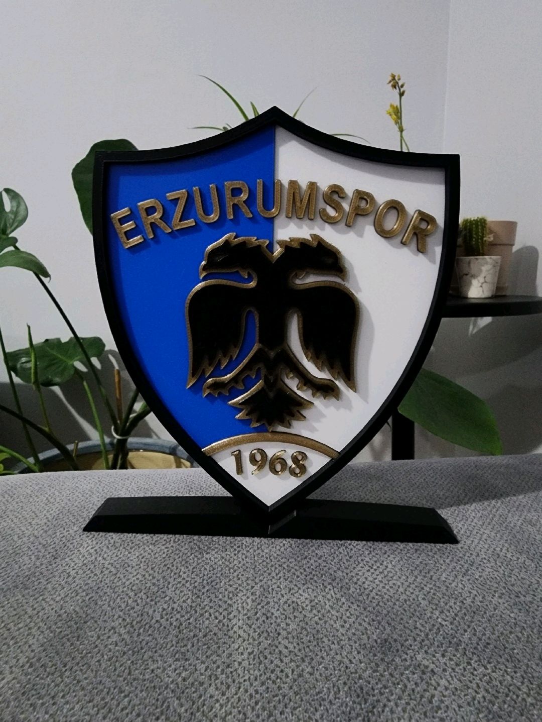 erzurumspor-buyuk-tip-logo-cok-renkli