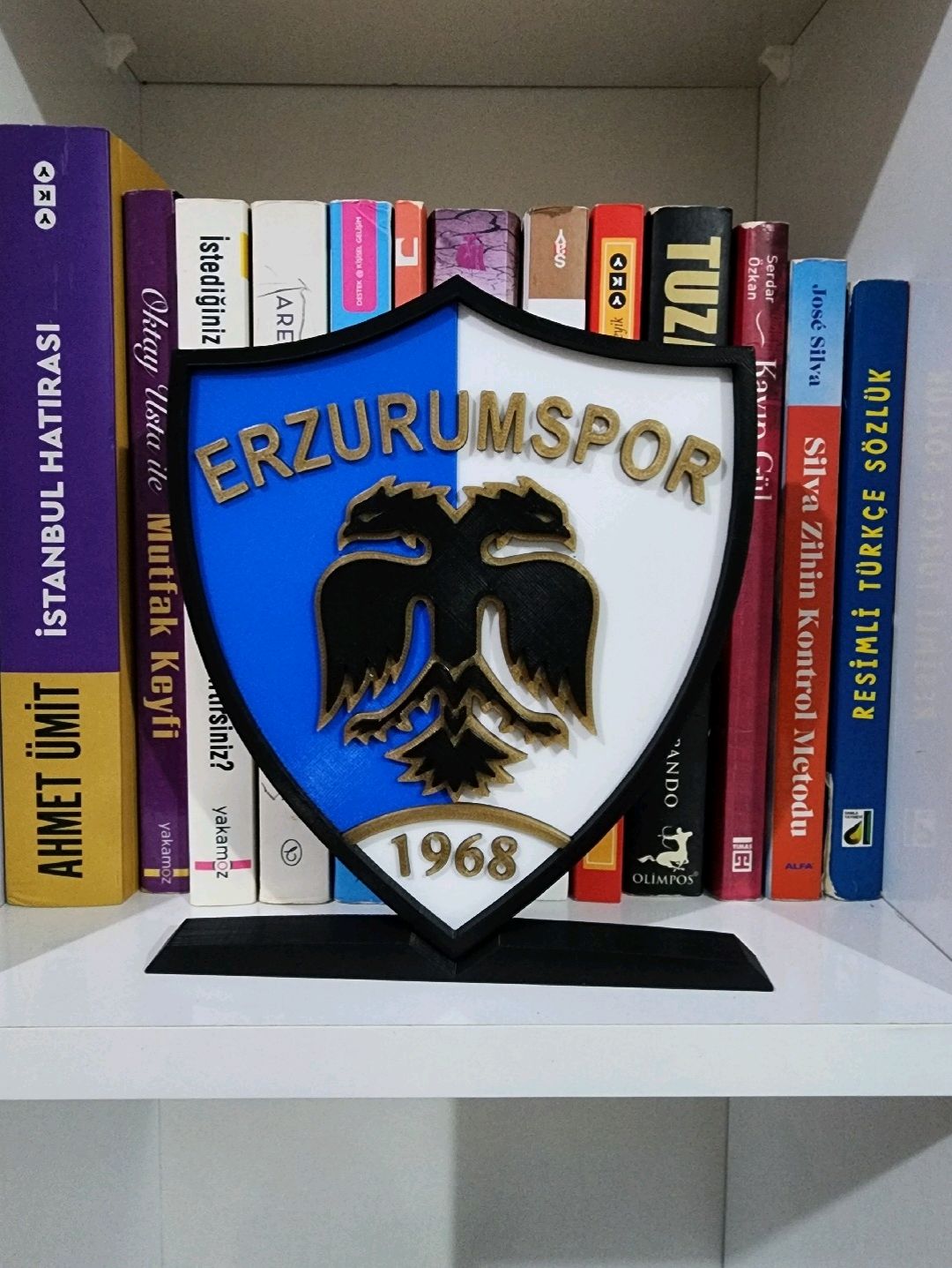 erzurumspor-buyuk-tip-logo-cok-renkli