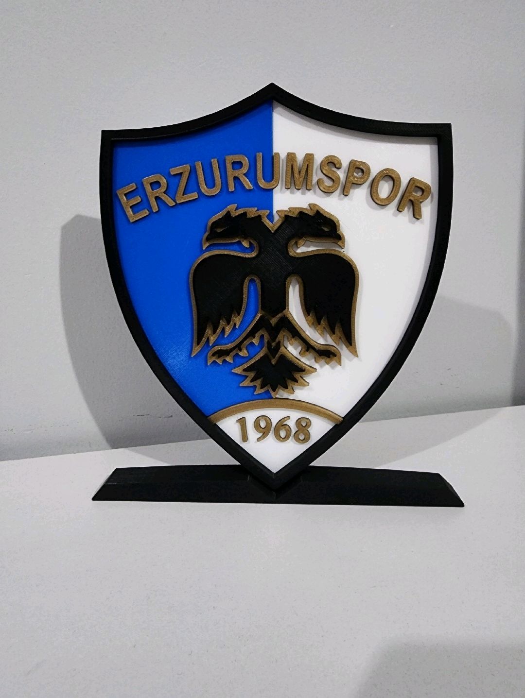 erzurumspor-buyuk-tip-logo-cok-renkli