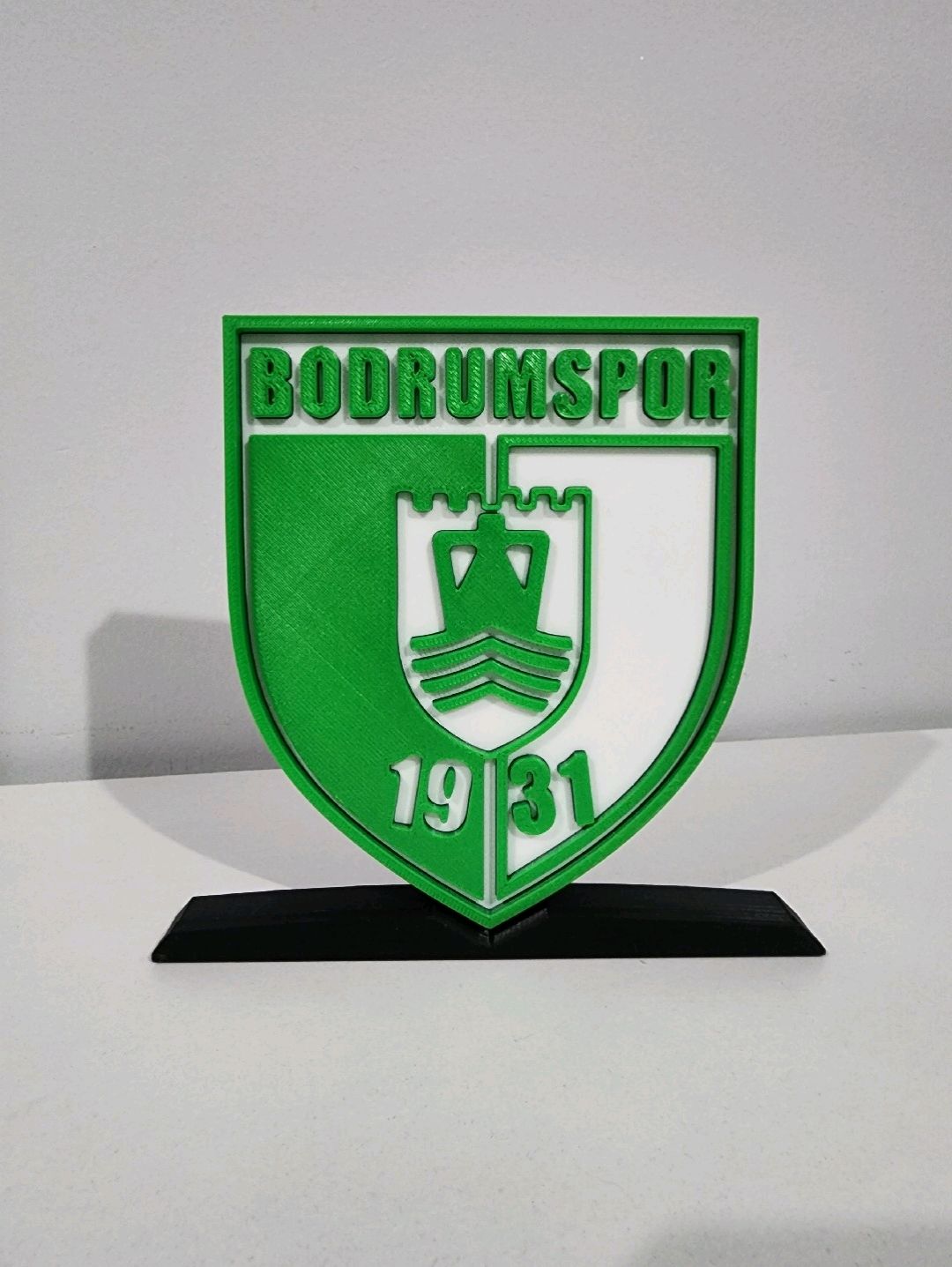 bodrumspor-buyuk-tip-logo-cok-renkli