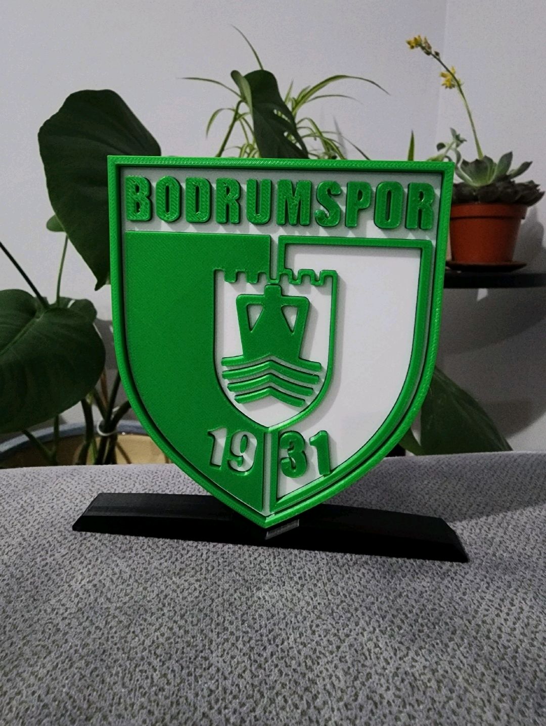 bodrumspor-buyuk-tip-logo-cok-renkli