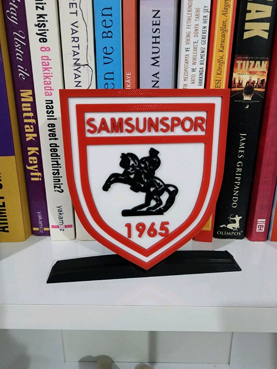 samsunspor-logo-cok-renkli