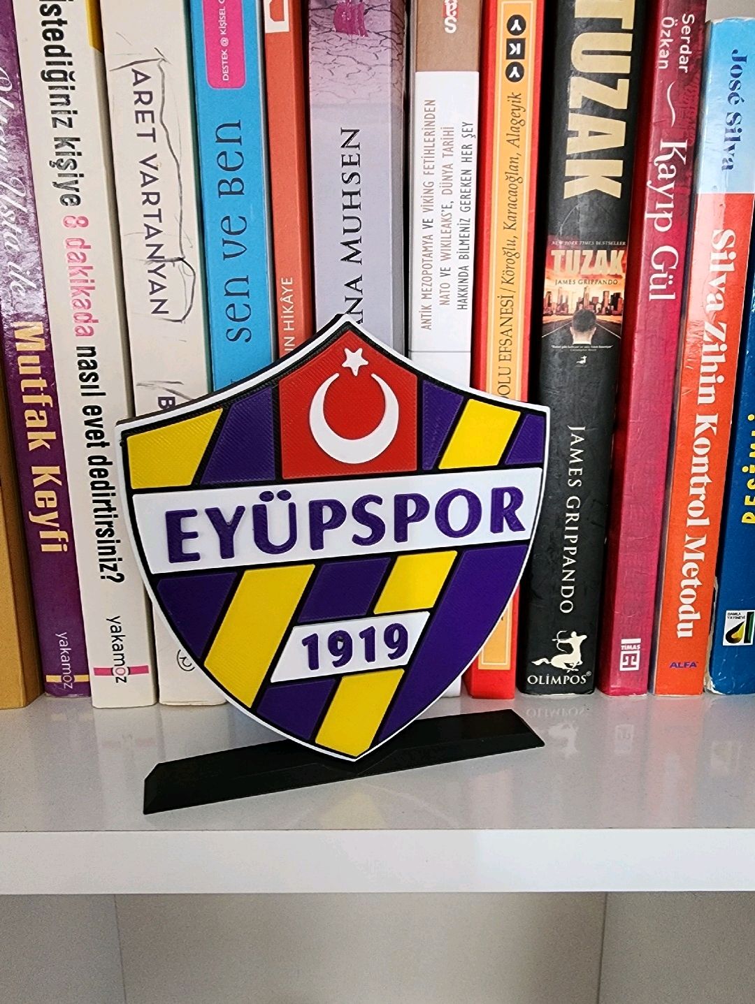 eyupspor-logo-cok-renkli