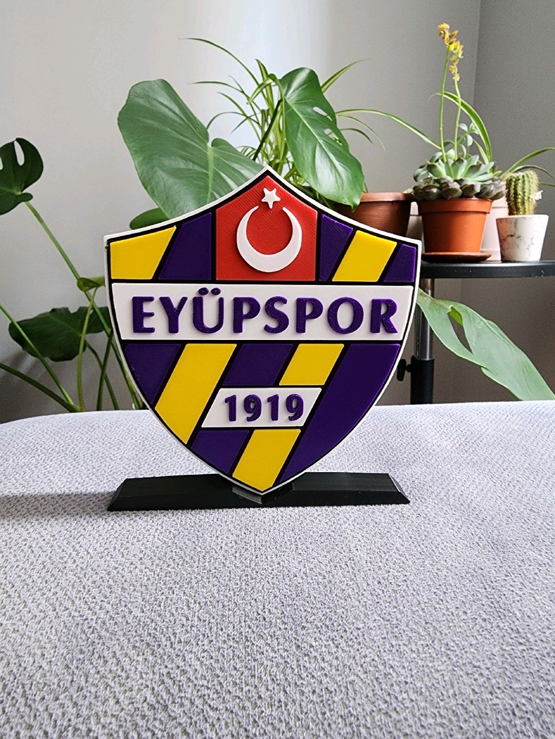 eyupspor-logo-cok-renkli