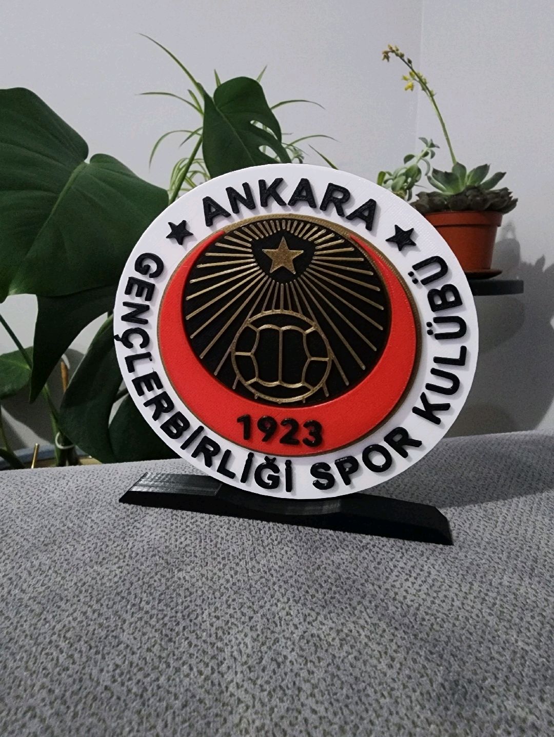 ankara-genclerbirligi-logo-cok-renkli