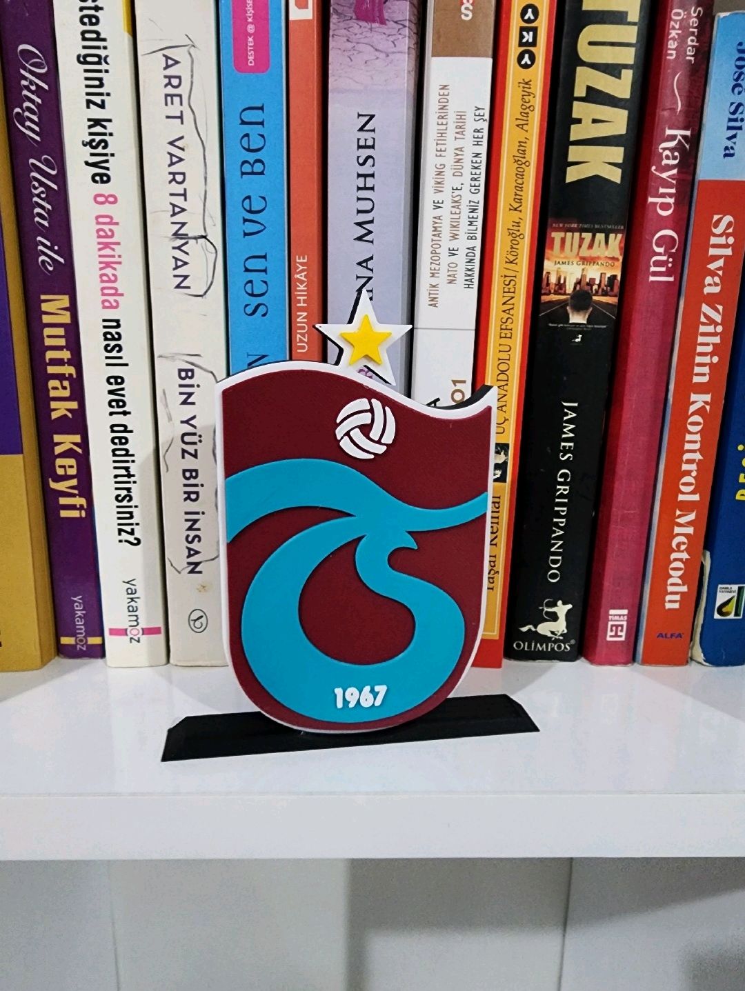 trabzonspor-logo-cok-renkli