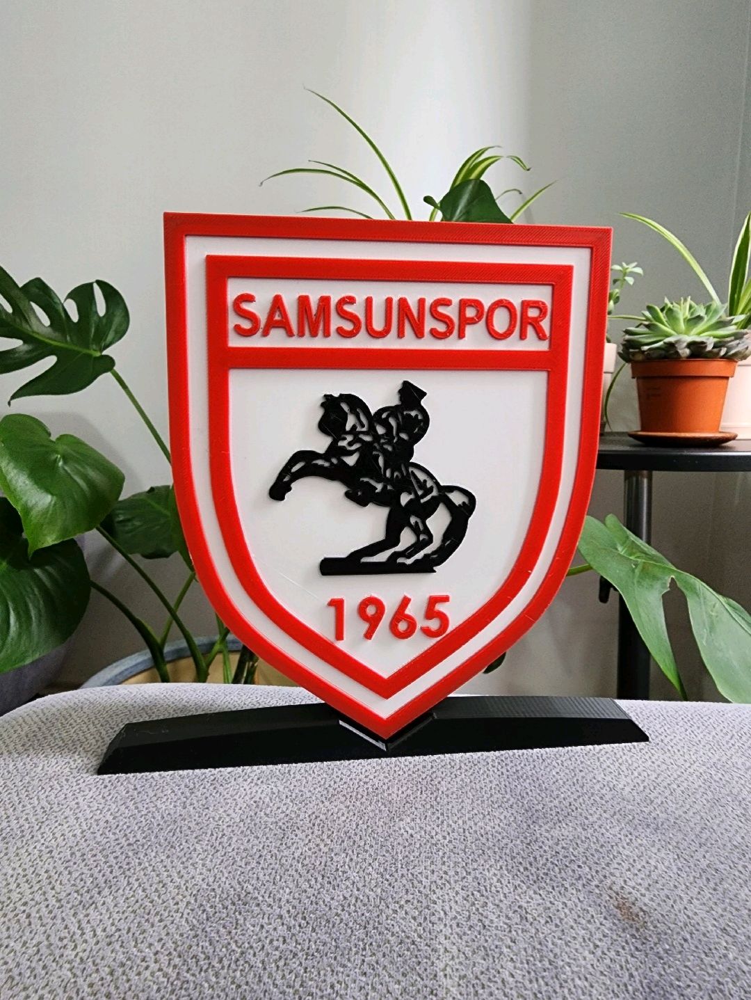 samsunspor-buyuk-tip-logo-cok-renkli