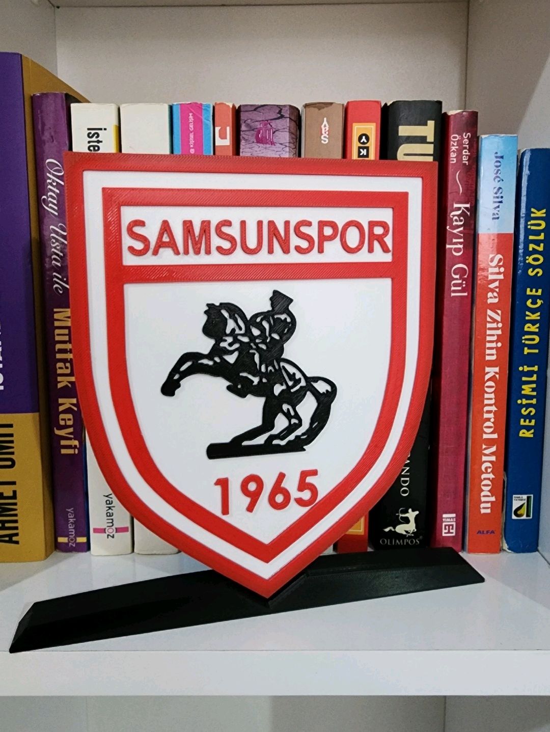 samsunspor-buyuk-tip-logo-cok-renkli