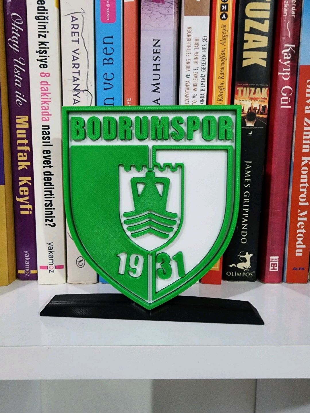 bodrumspor-logo-cok-renkli