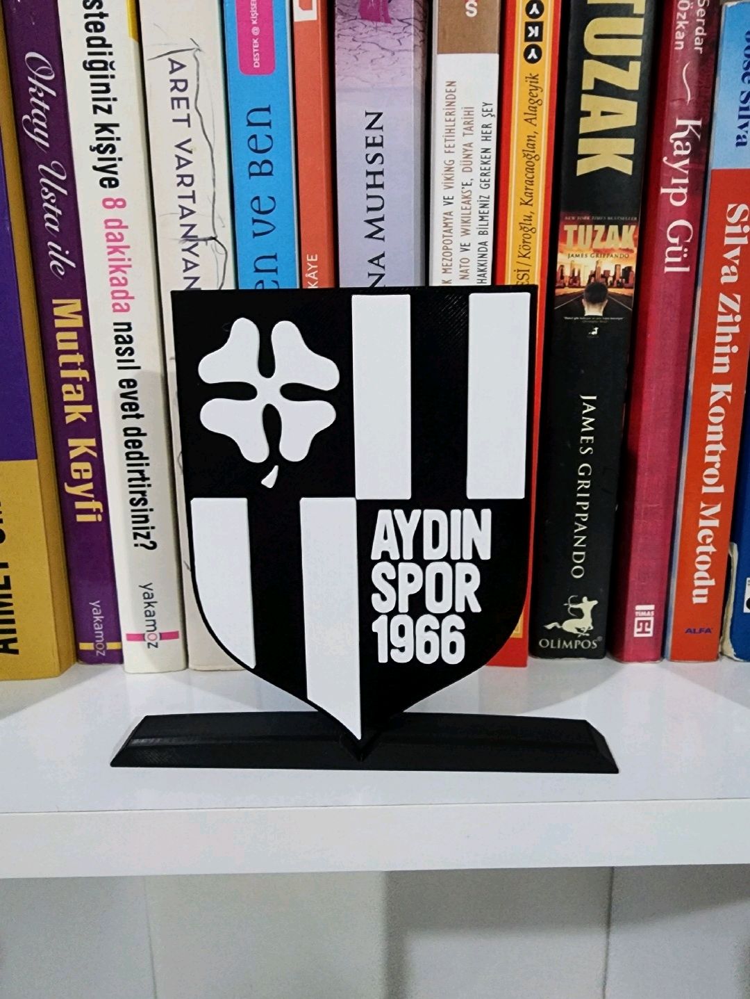 aydinspor-buyuk-tip-logo-cok-renkli