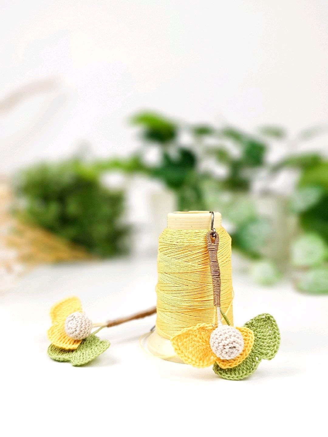 ginkgo-biloba-kupe-sari-yesil-yaprak-kupe-sari