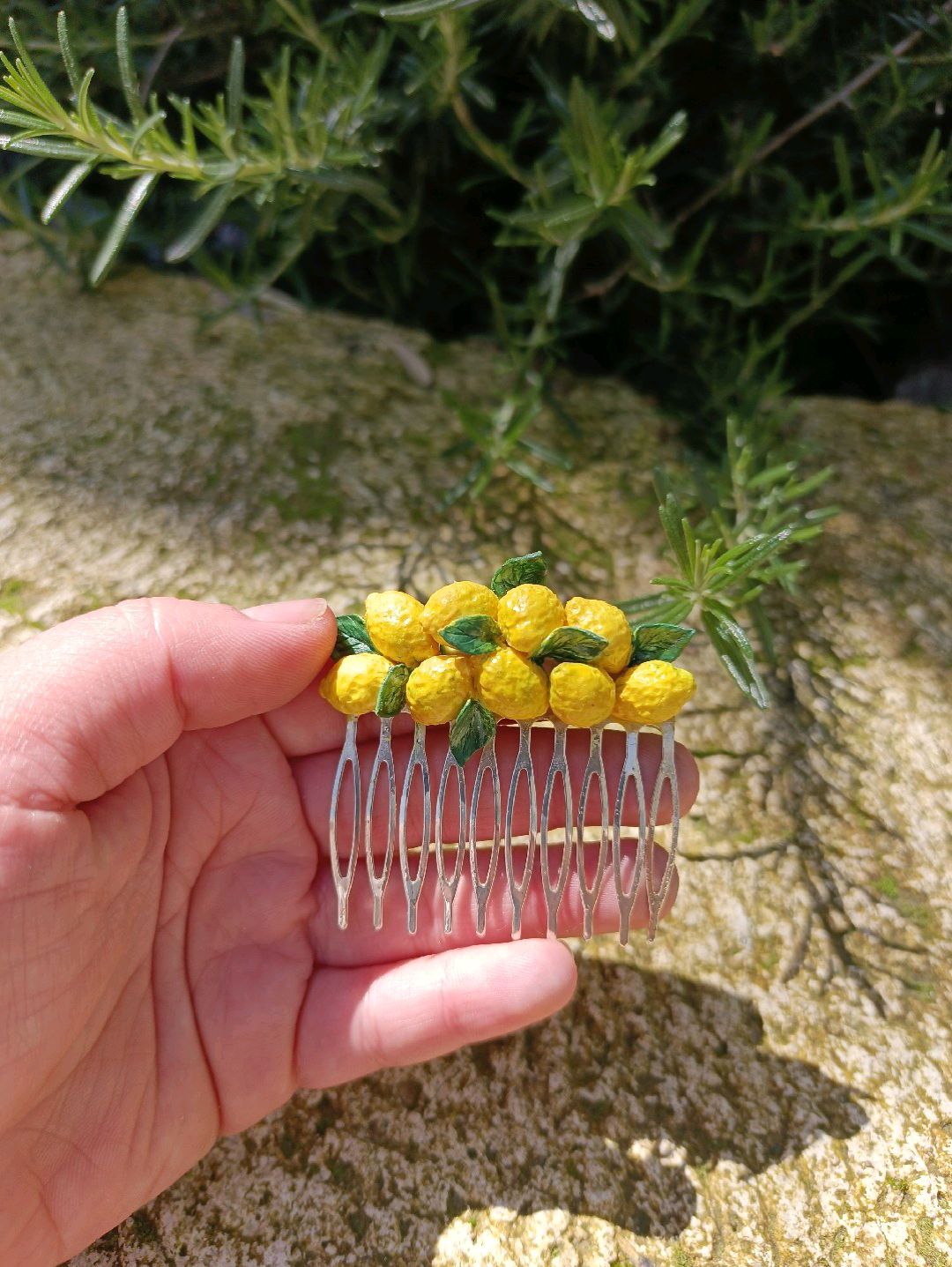limon-toka-sari