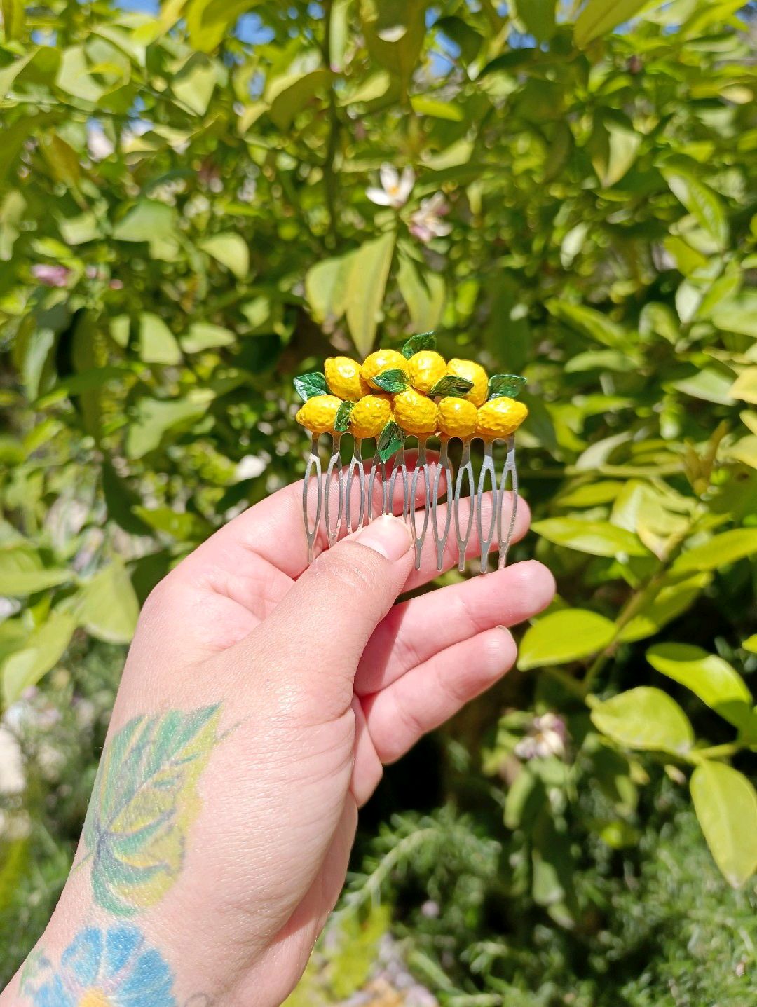limon-toka-sari