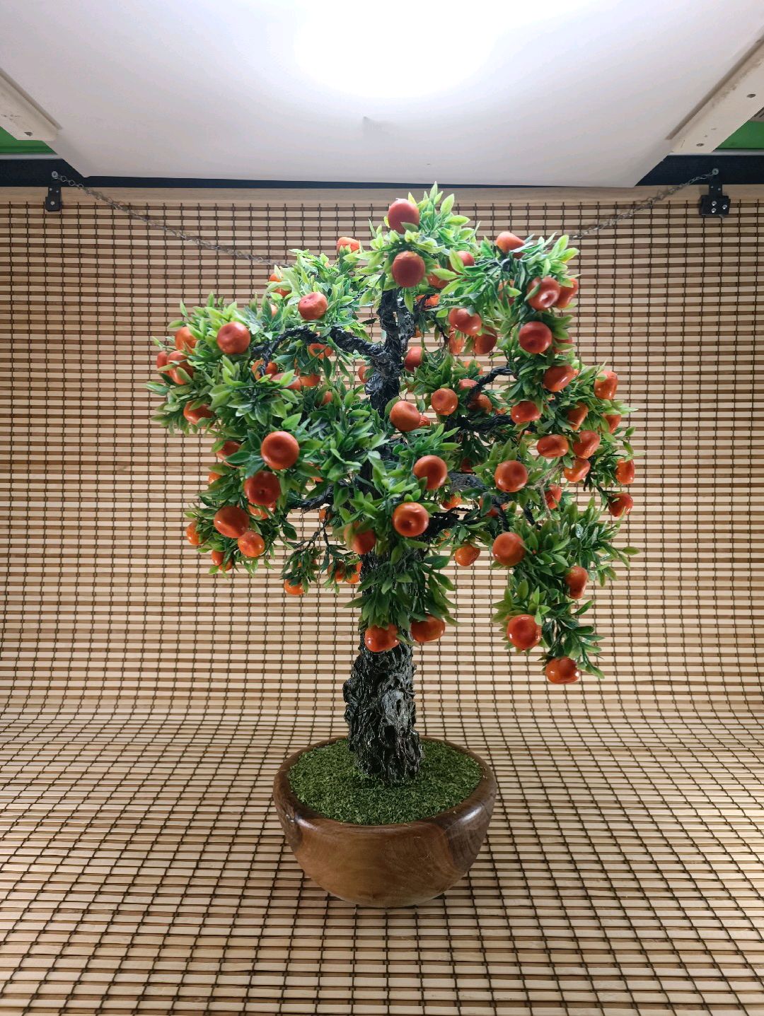 mandalin-bonsai-yesil-sari