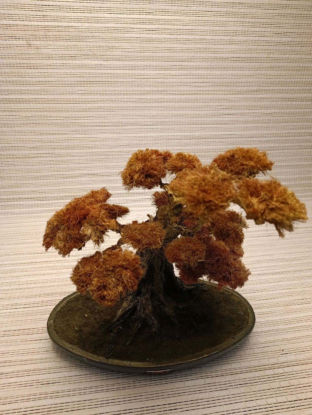 bonsai-altin-rengi