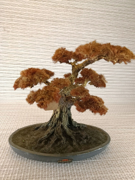 Bonsai Altın Rengi