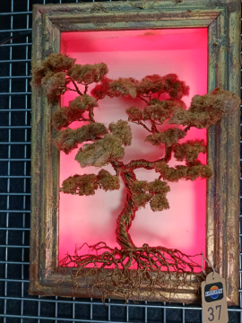 Işıklı Bonsai Bakır Rengi