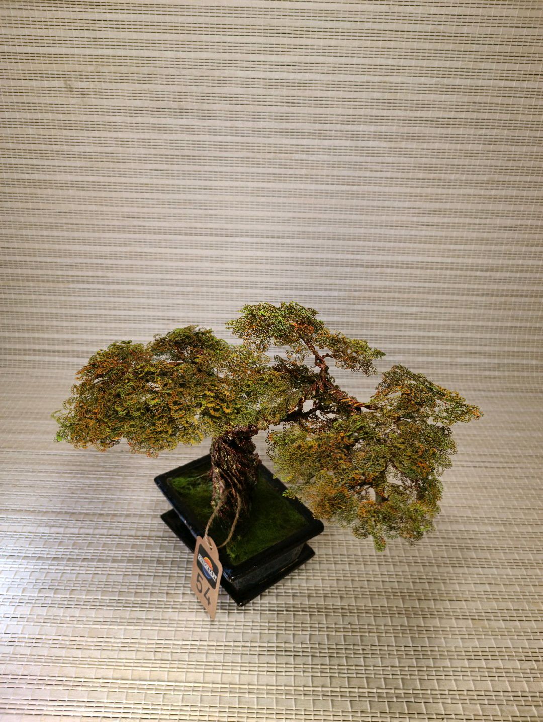 seramik-saksili-bonsai-fistik-yesili