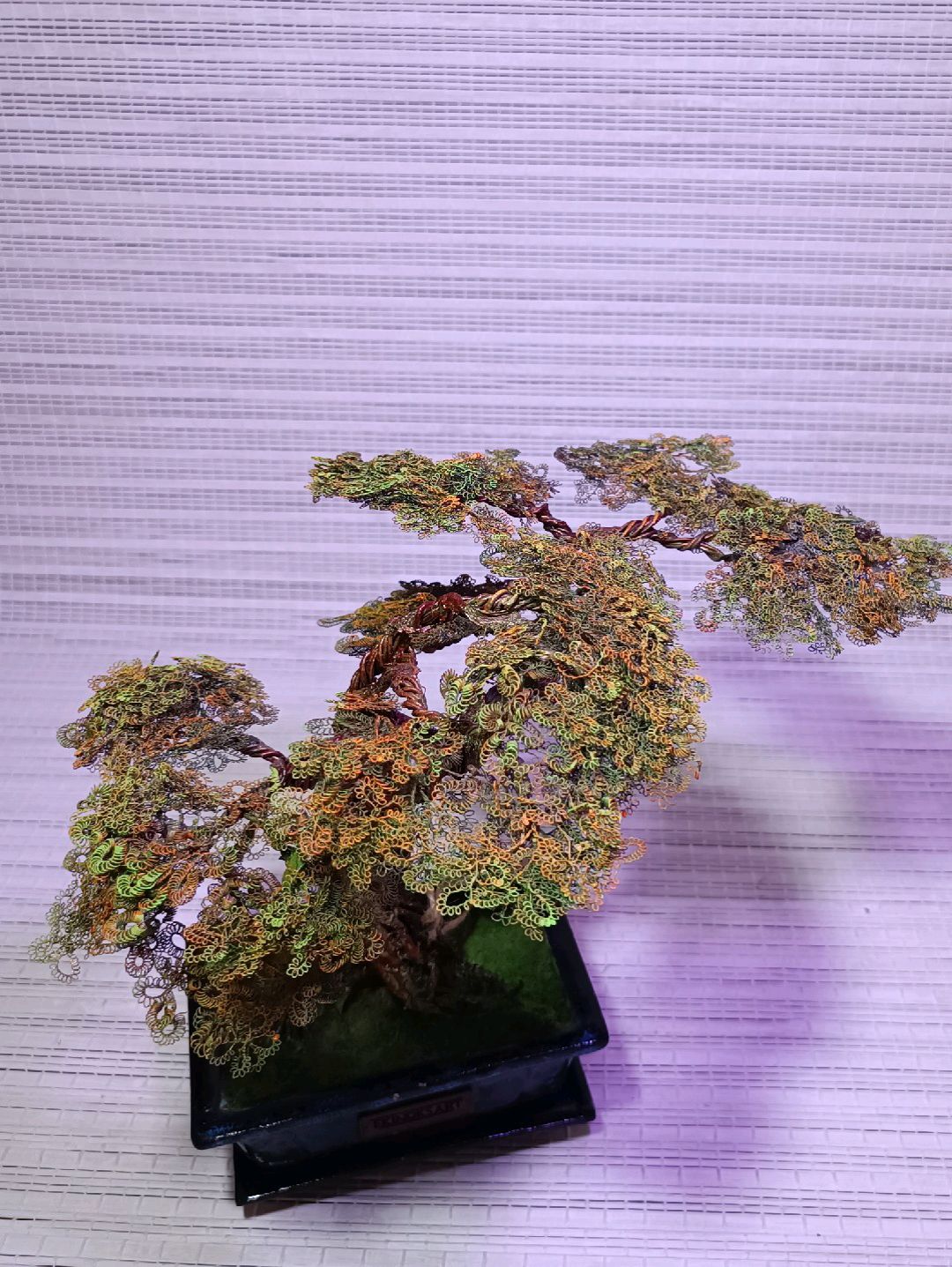 seramik-saksili-bonsai-fistik-yesili