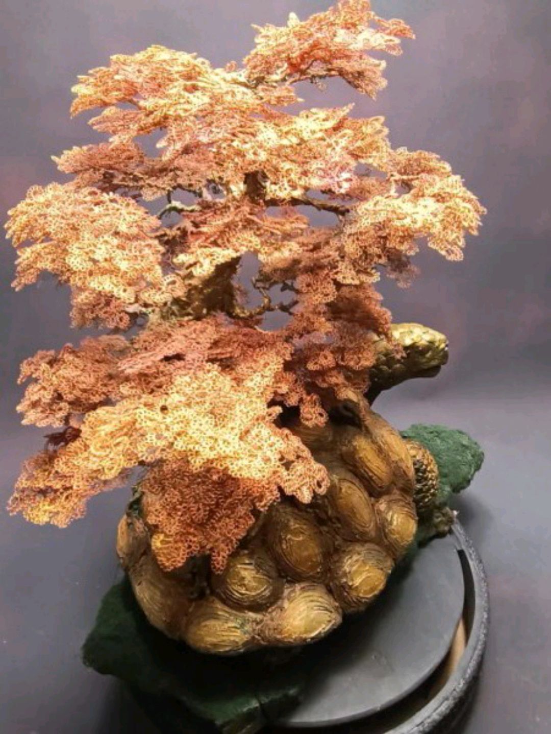 kaplumbaga-bonsai-bakir-rengi