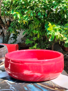 Bonsai Saksısı Kırmızı