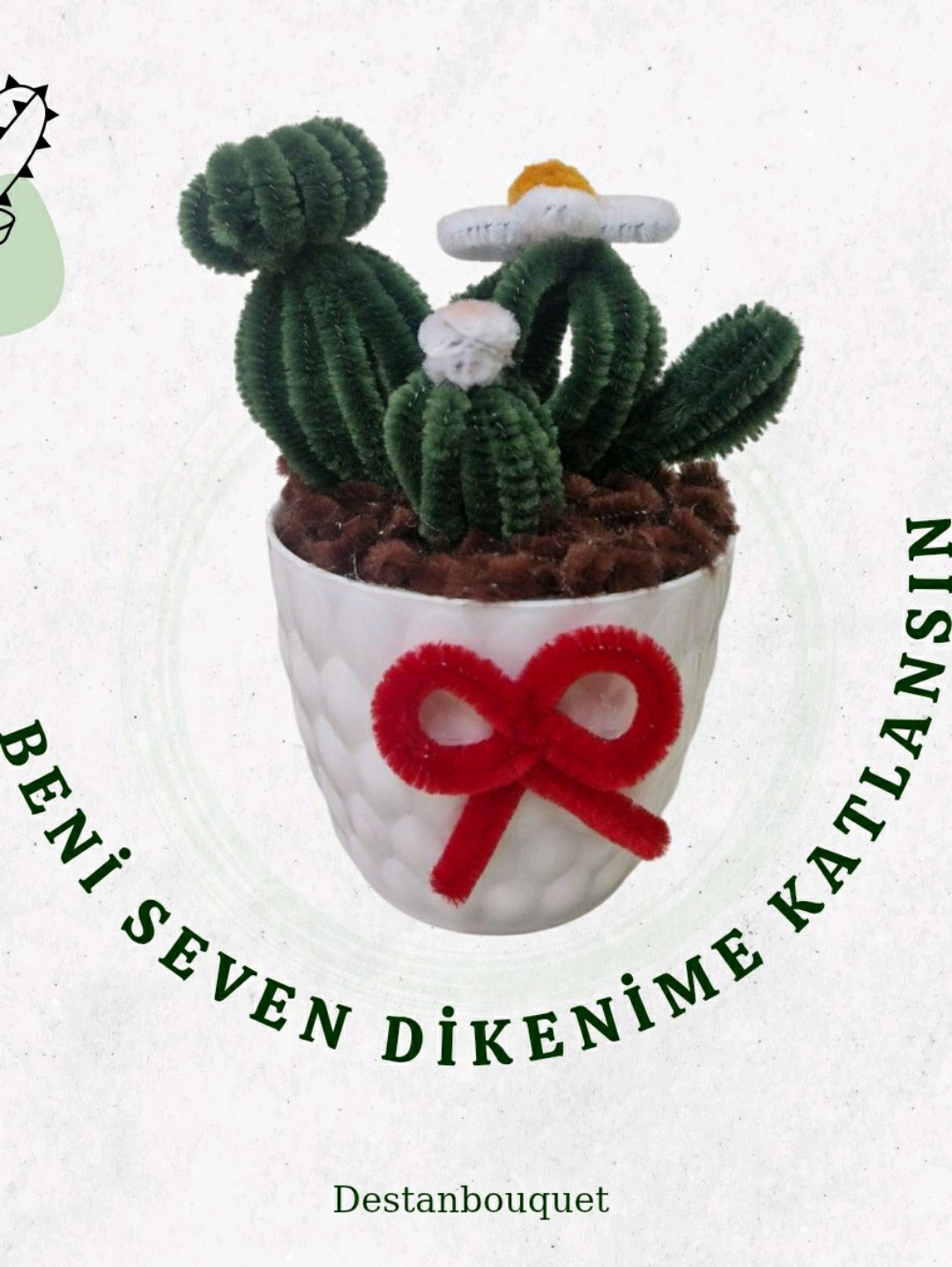 sonil-saksili-kaktus-yesil