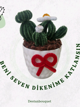 Şönil Saksılı Kaktüs  Yeşil