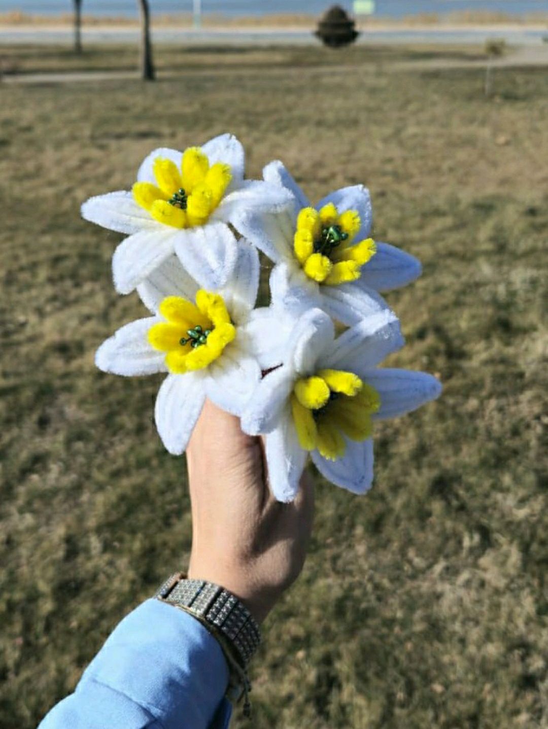sonil-nergis-turuncu-gelincik-beyaz