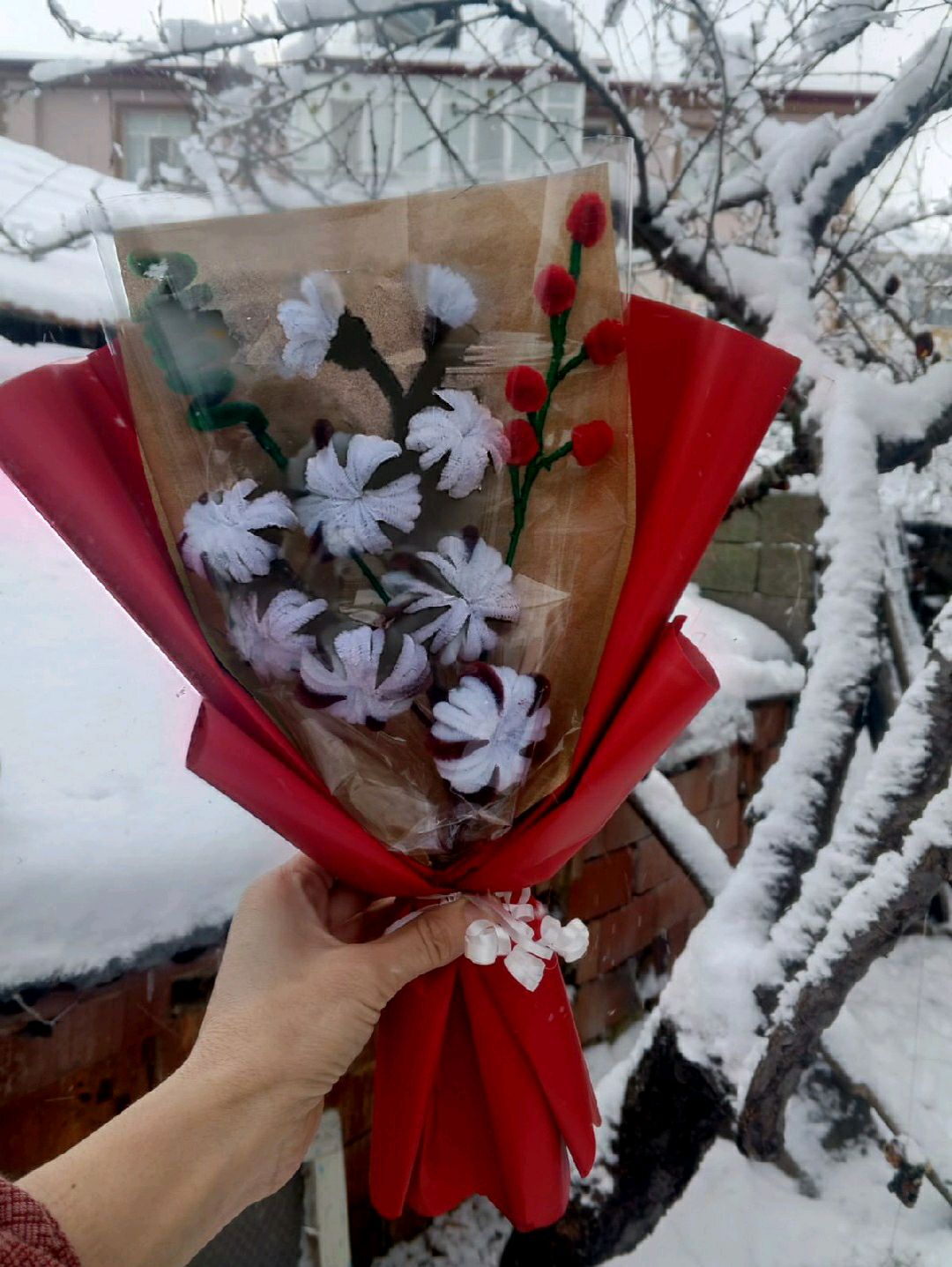 sonil-pamuk-cicegi-beyaz