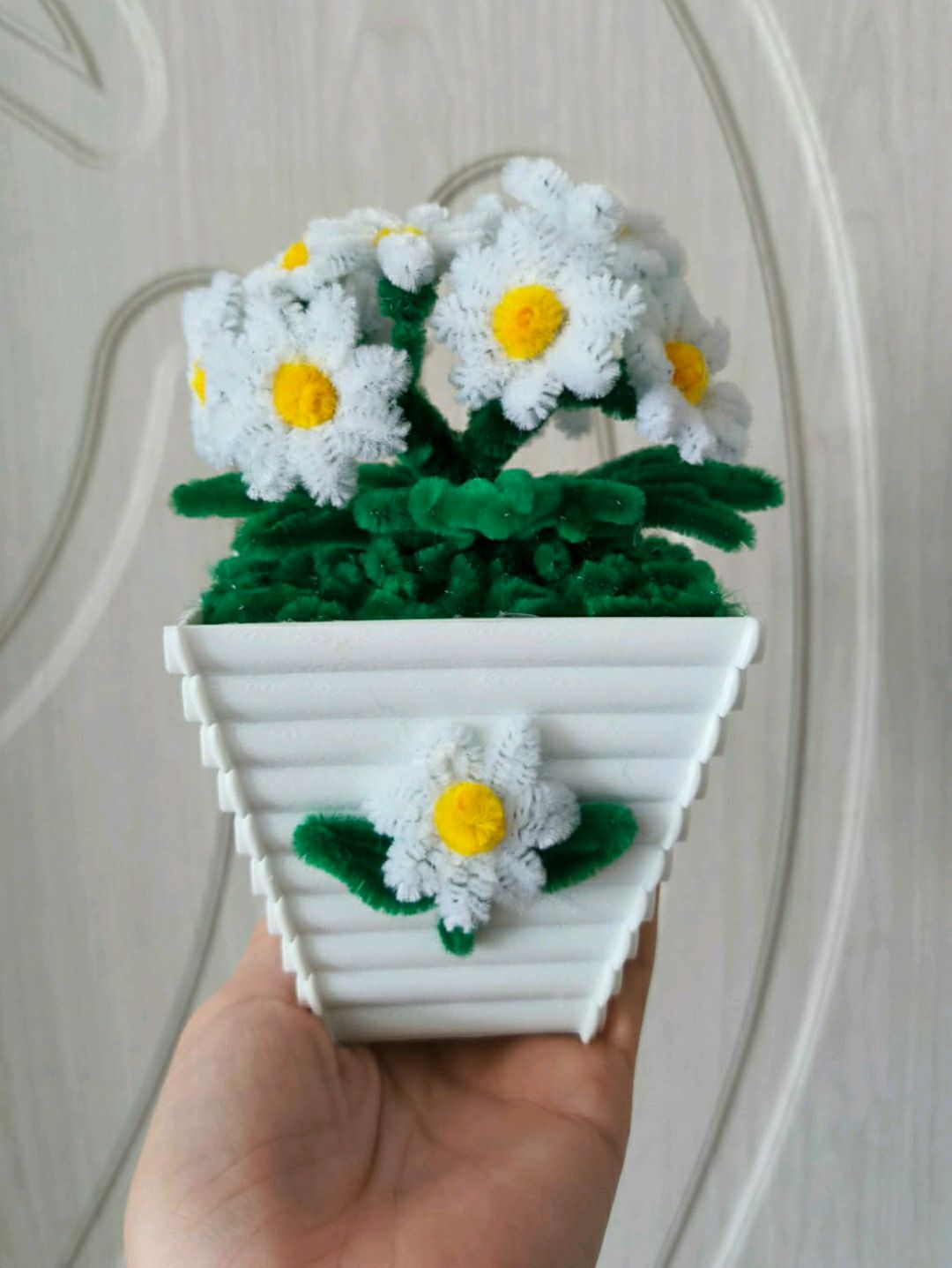 sonil-saksili-papatya-beyaz