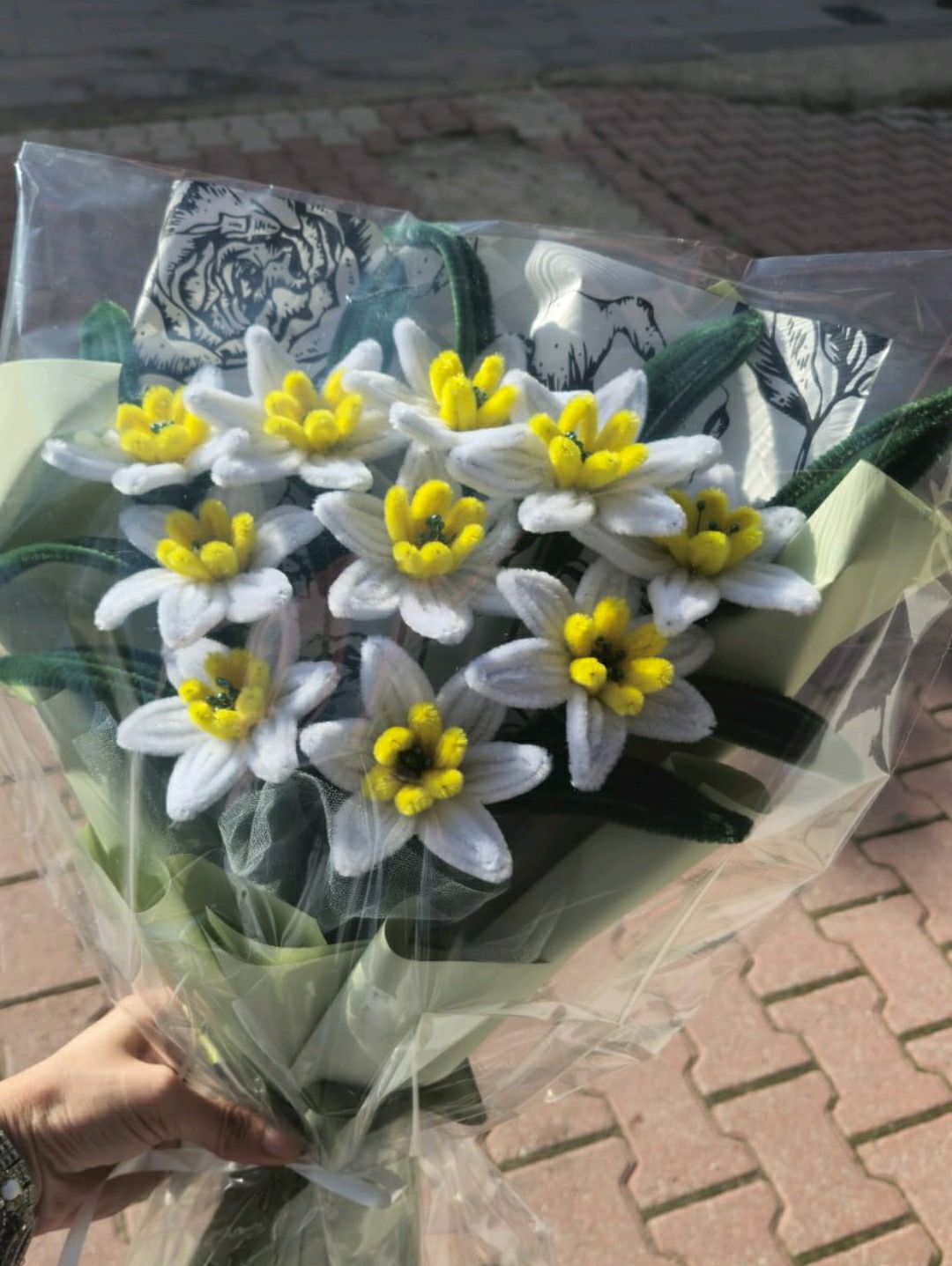 sonil-nergis-cicegi-beyaz