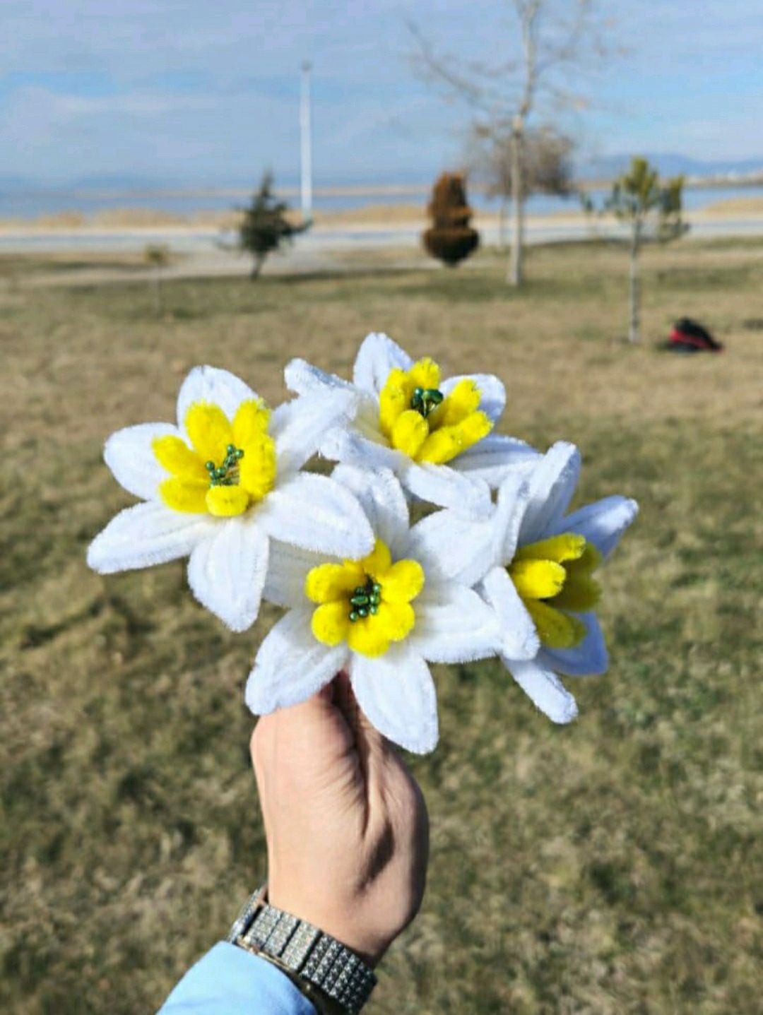 sonil-nergis-cicegi-beyaz
