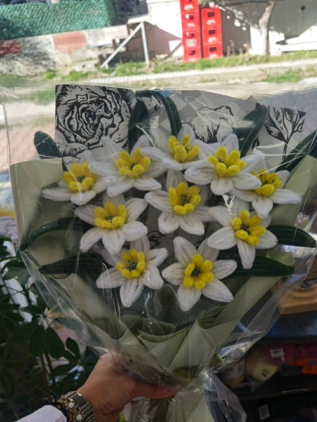 sonil-nergis-cicegi-beyaz
