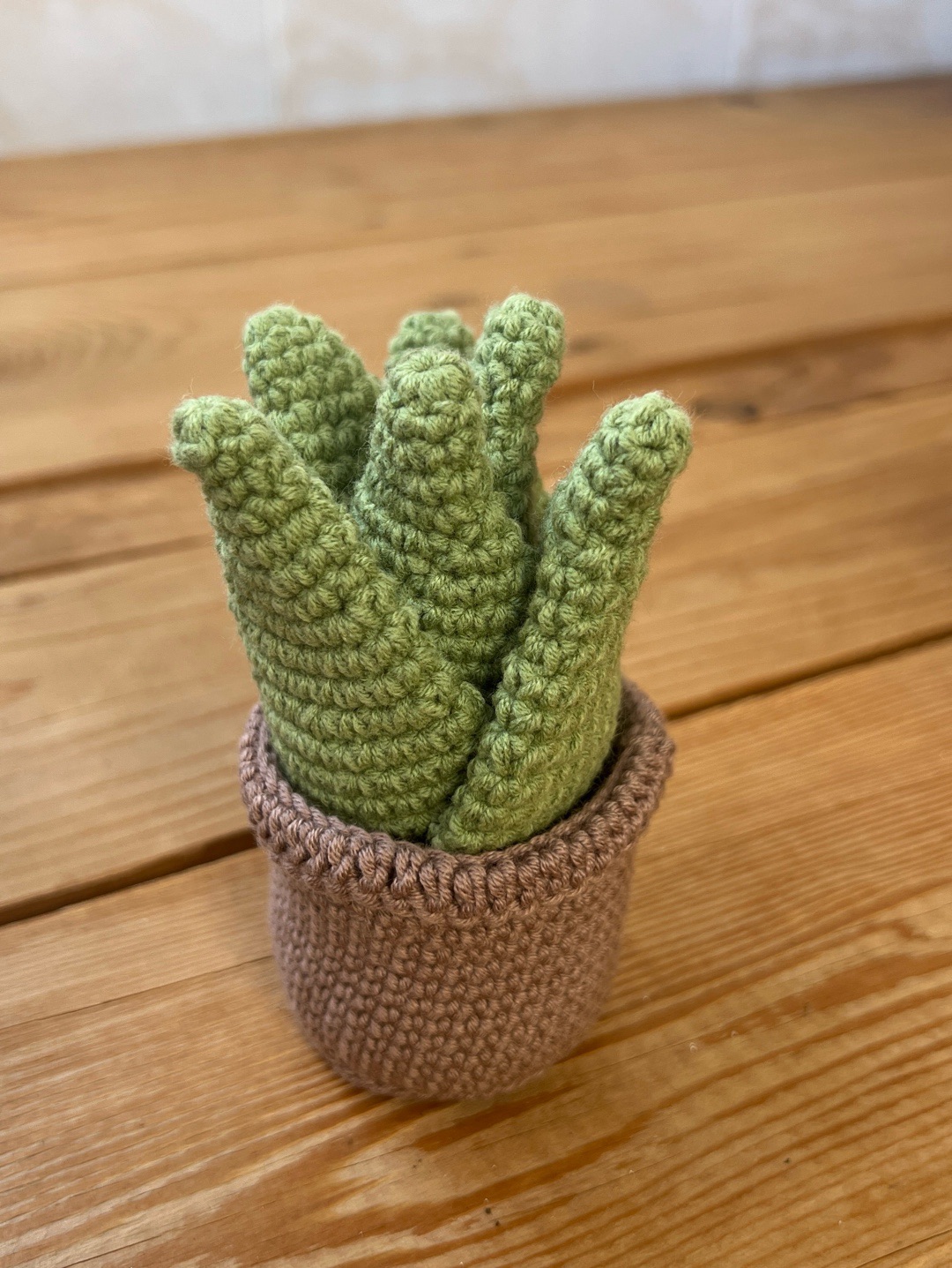 orgu-saksili-aloe-vera-yesil
